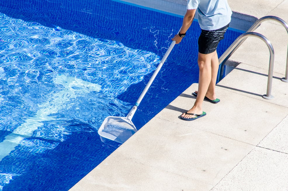 cleaning the swimming pool with a net