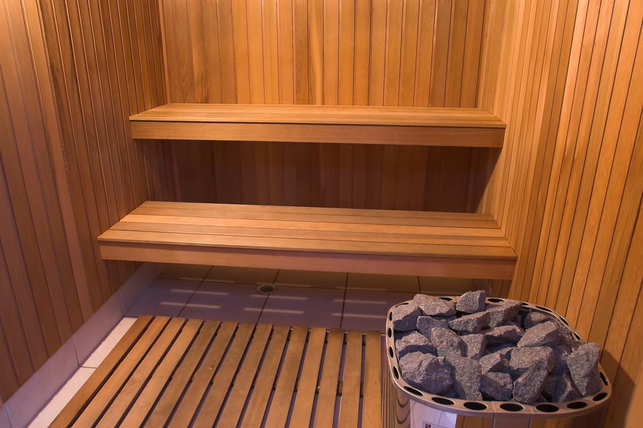 Sauna / Steam Room